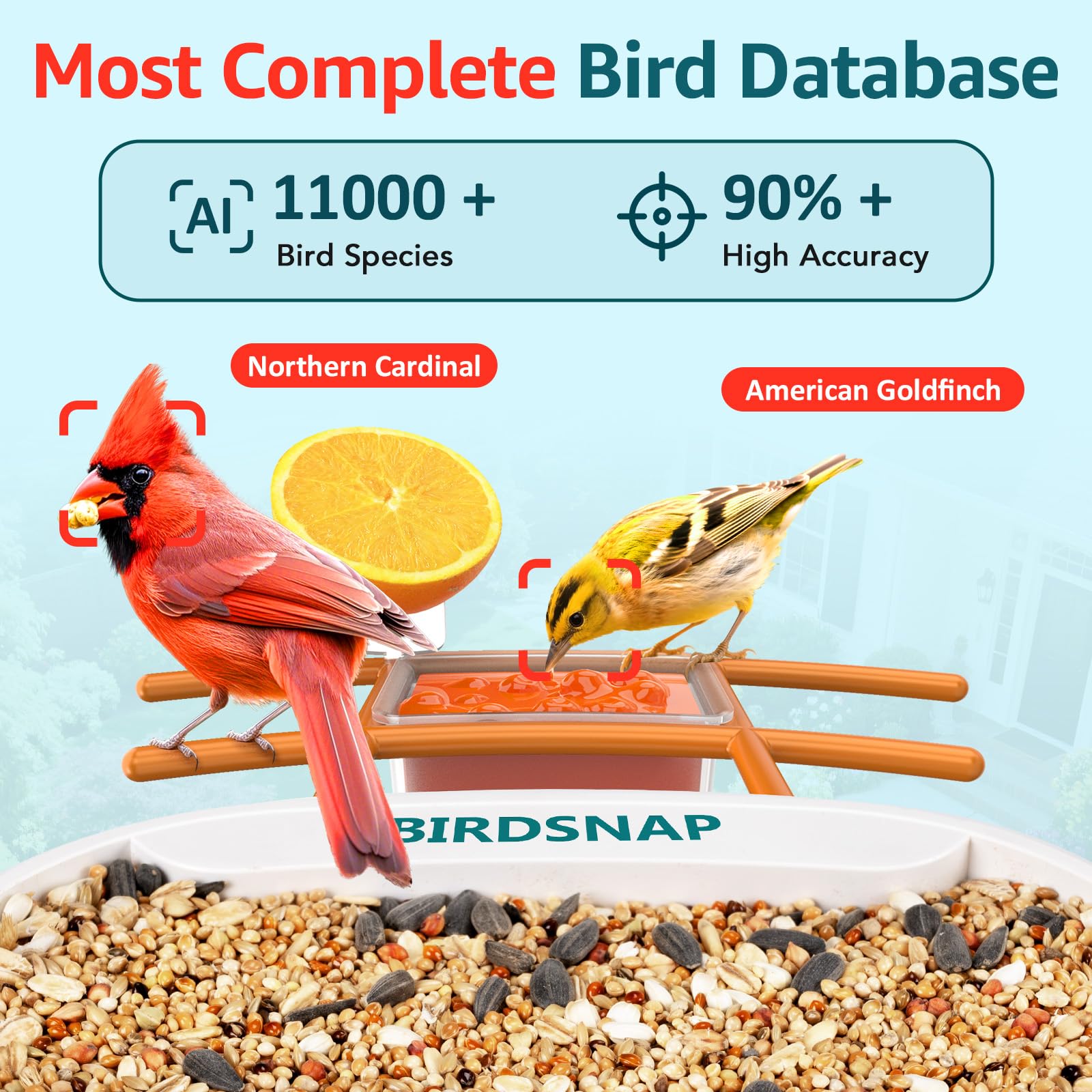birdsnap TUC hummingbird attachment demonstrating nectar feeding option