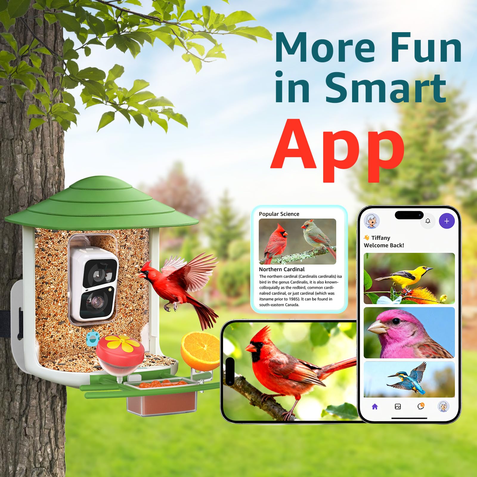 birdsnap hummingbird feeder attachment attracting small nectar feeders