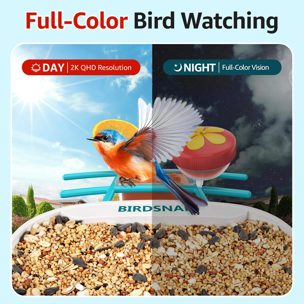 birdsnap TUC jelly box detail with jelly, invites orioles and other visitors