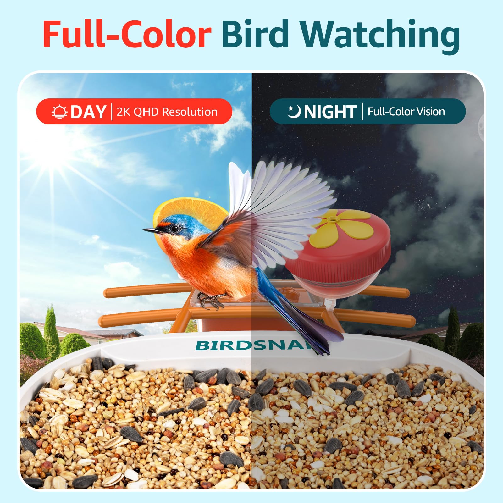 birdsnap TUC night view still illustrating color night vision clarity