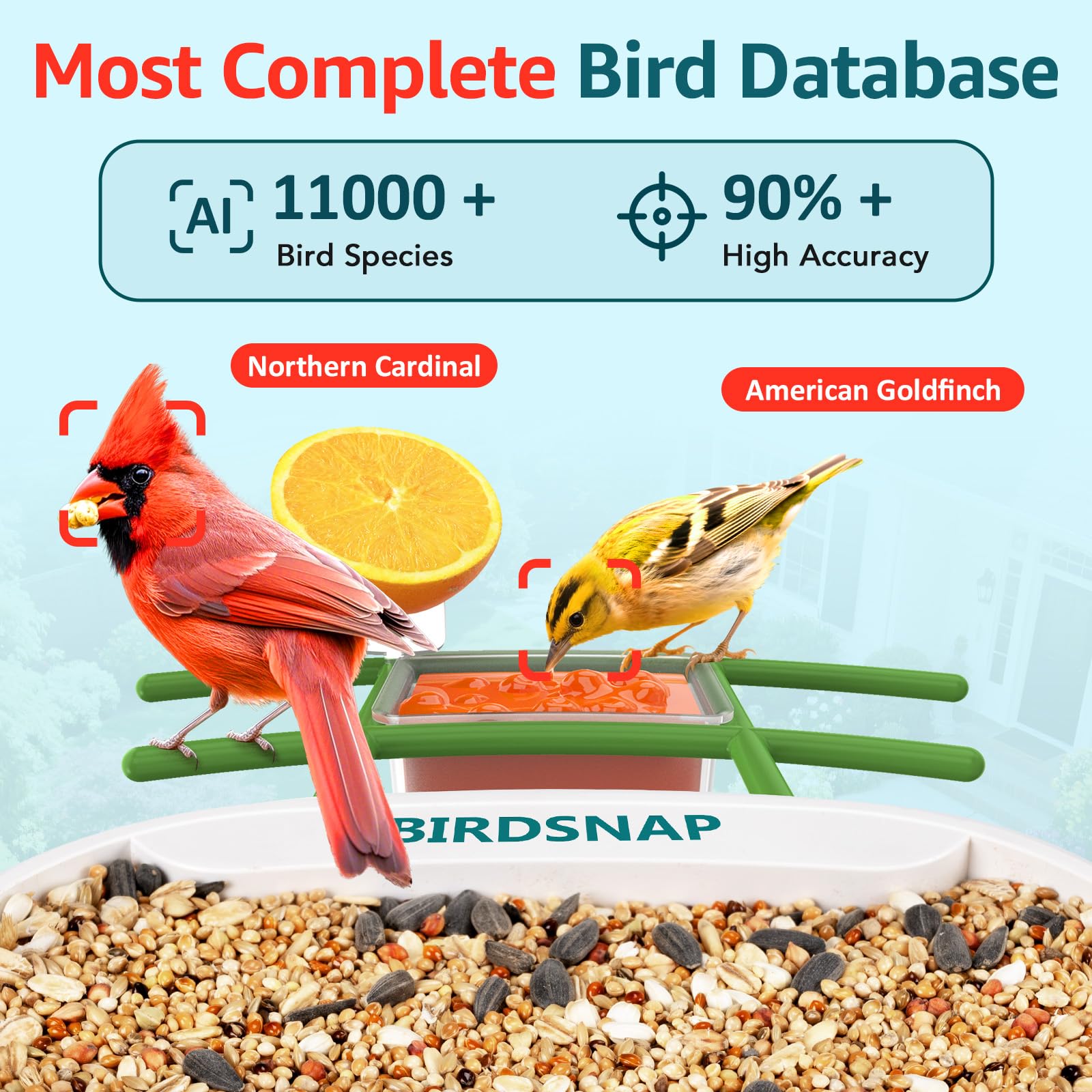 birdsnap adjustable solar panel angled to maximize sunlight capture