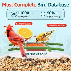 birdsnap adjustable solar panel angled to maximize sunlight capture