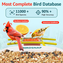 birdsnap solar panel detail demonstrating reliable sun-powered continuous use