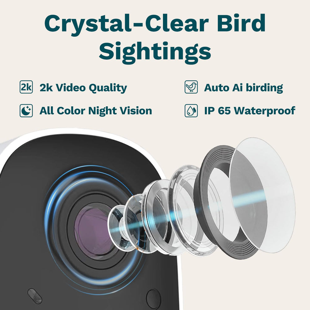 Birdster camera lens close-up, highlighting 2K clarity and detail