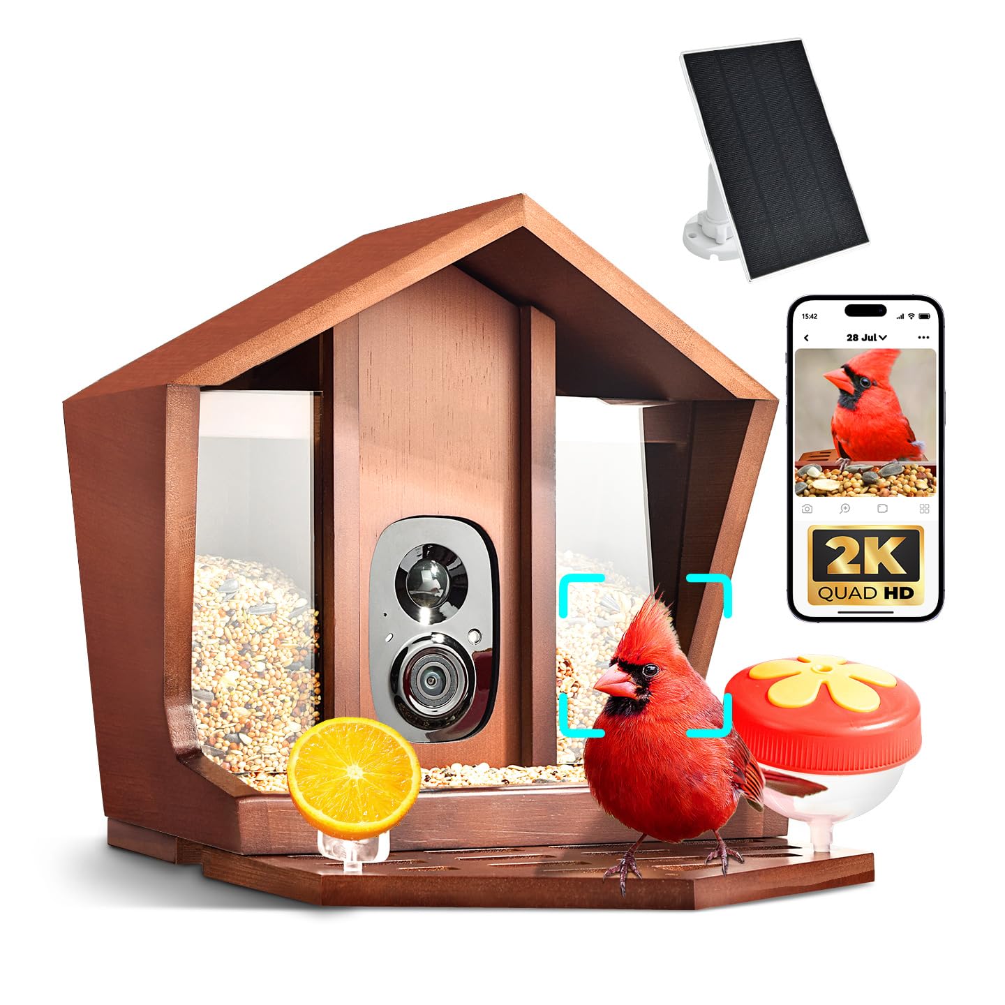 Birdster front view showing feeder and camera, clear monitoring benefit
