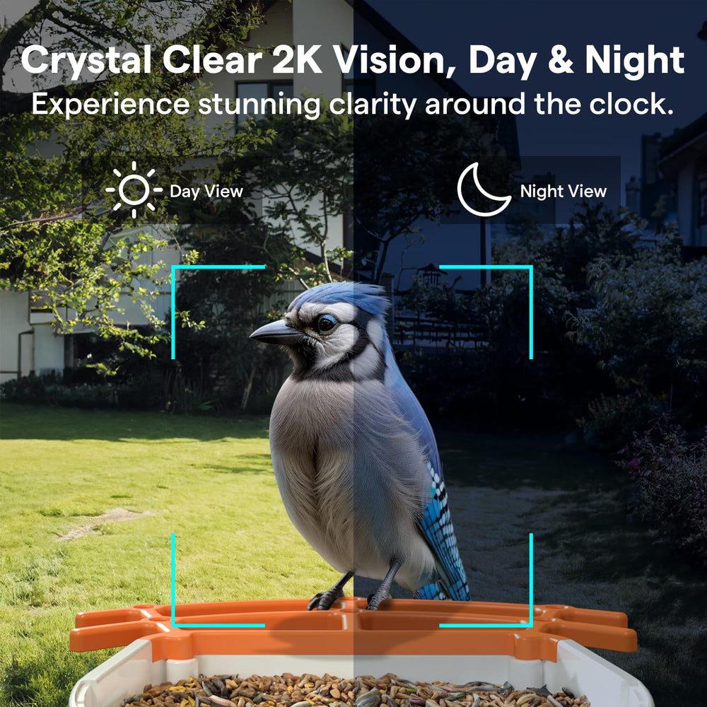 BirdsView app screenshot showing species ID and instant alerts