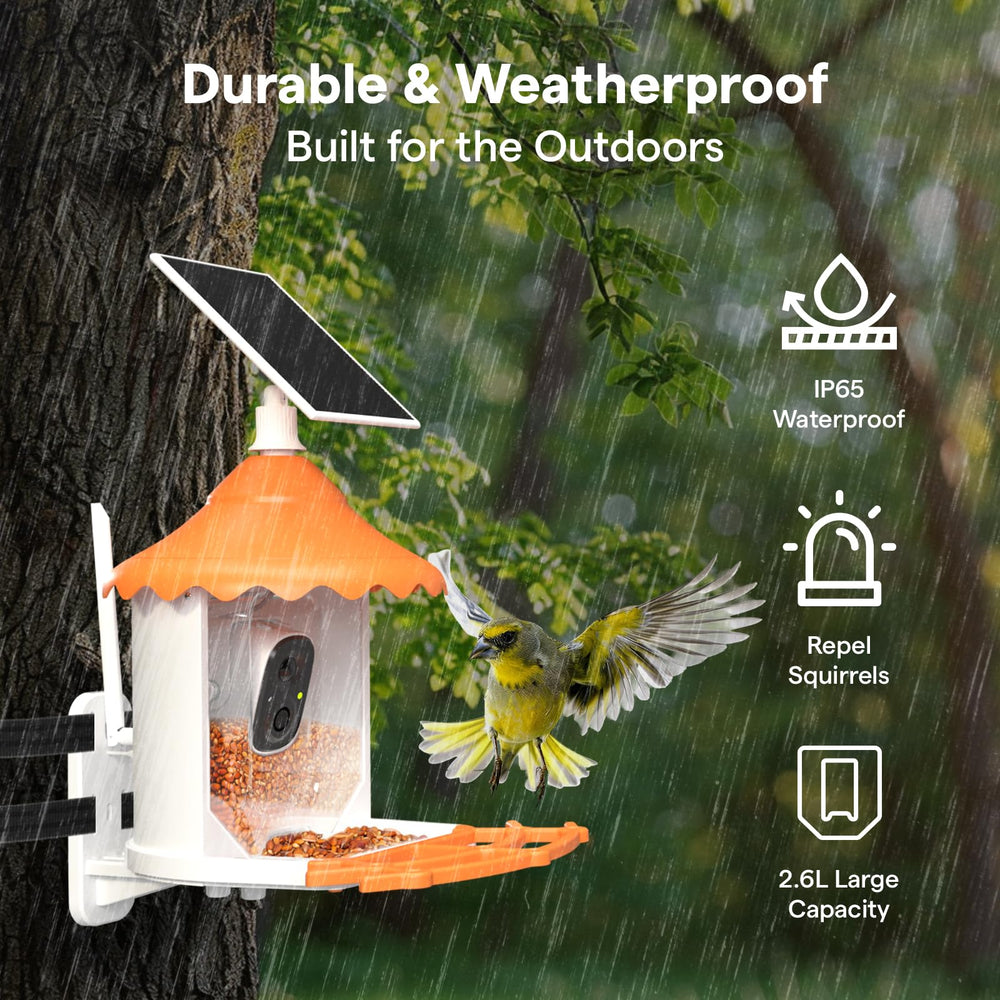 BirdsView feeder hopper with drainage keeping bird food dry