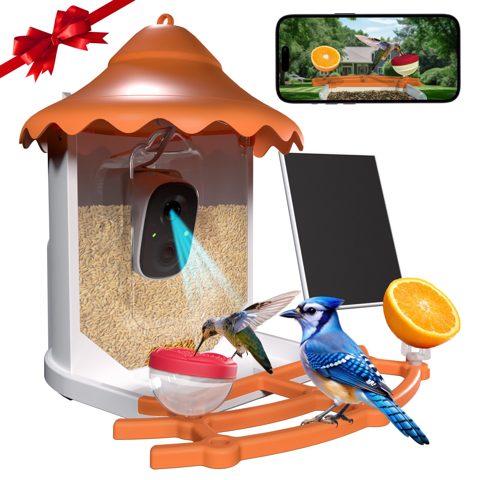 BirdsView front feeder and 2K camera showing clear viewing benefits