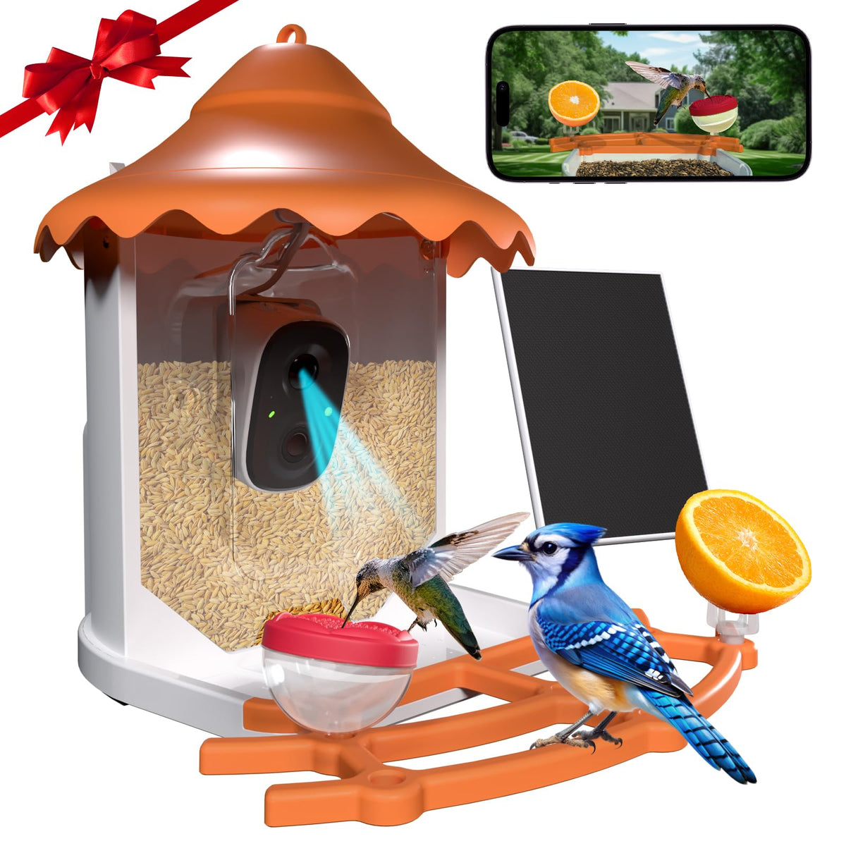 BirdsView front feeder and 2K camera showing clear viewing benefits