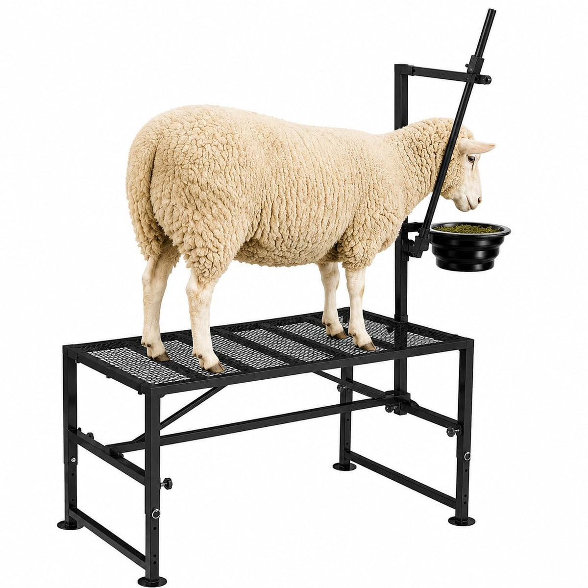 Bknius front view of goat stand showing full frame and stability benefit