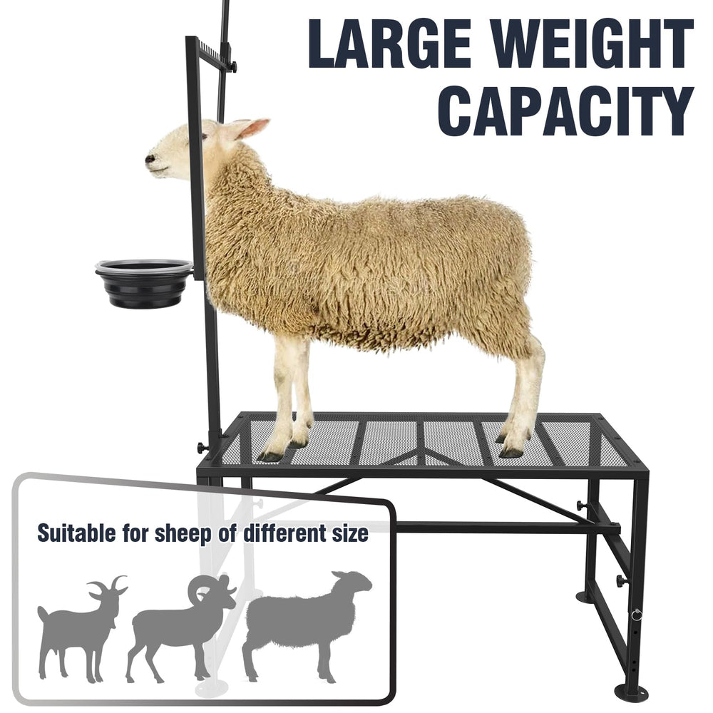 Bknius goat in stand during milking demonstrating steady restraint benefit