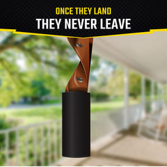 Black Flag fly paper hanging on a porch to reduce flying pests and protect outdoor meals