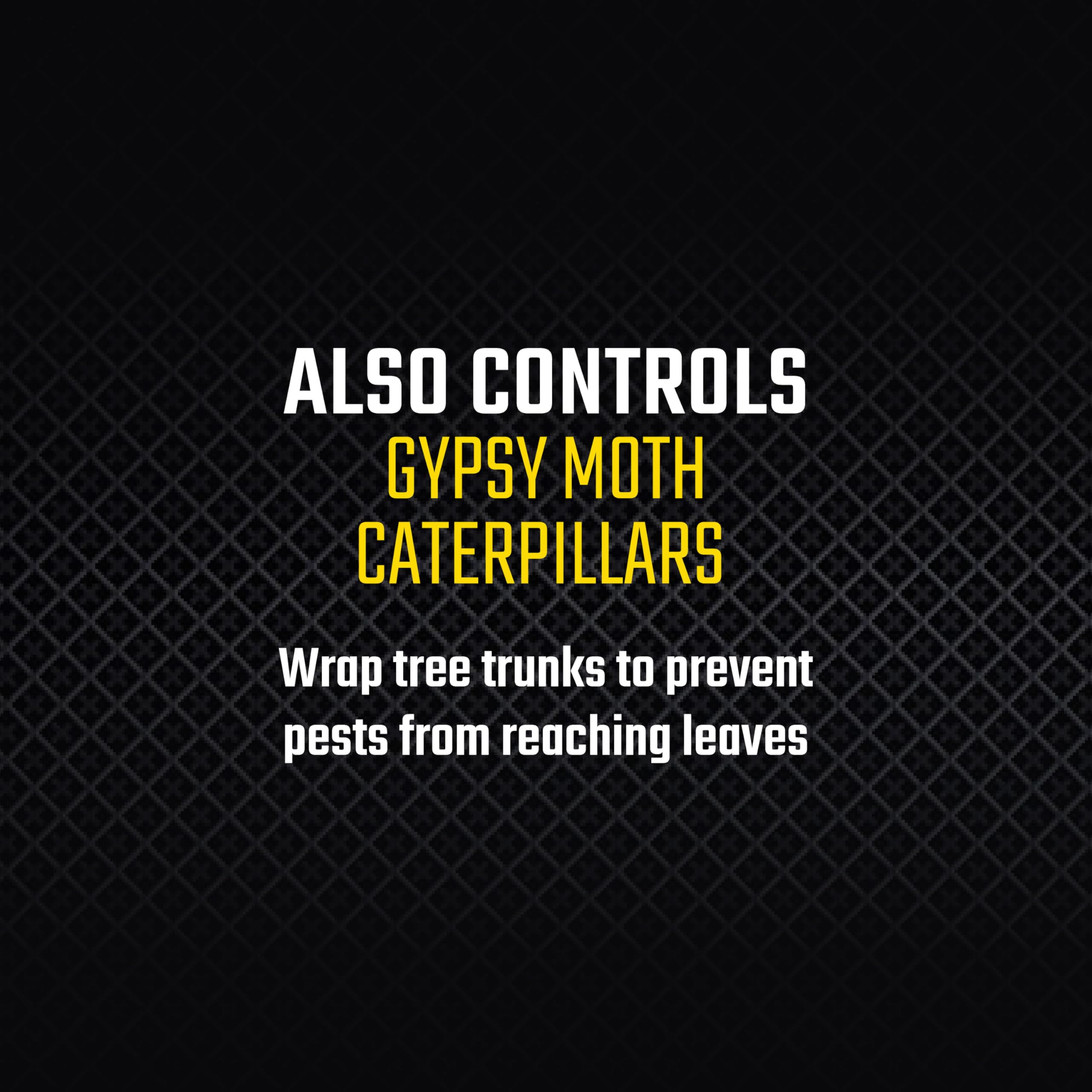 Black Flag trap next to a ruler to show size and help plan placement accurately