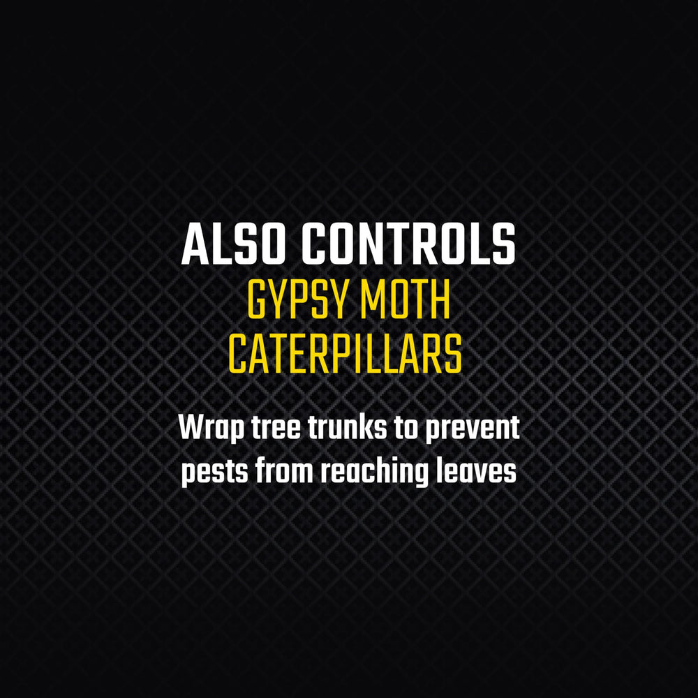 Black Flag trap next to a ruler to show size and help plan placement accurately