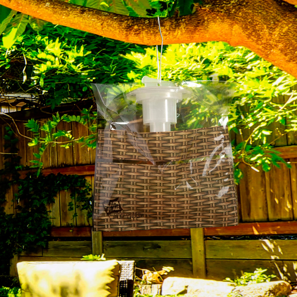 Black Flag trap held in hand for scale showing compact, discreet size