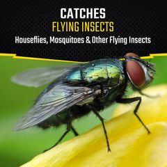 Black Flag close-up of sticky paper texture capturing insects for dependable adhesion