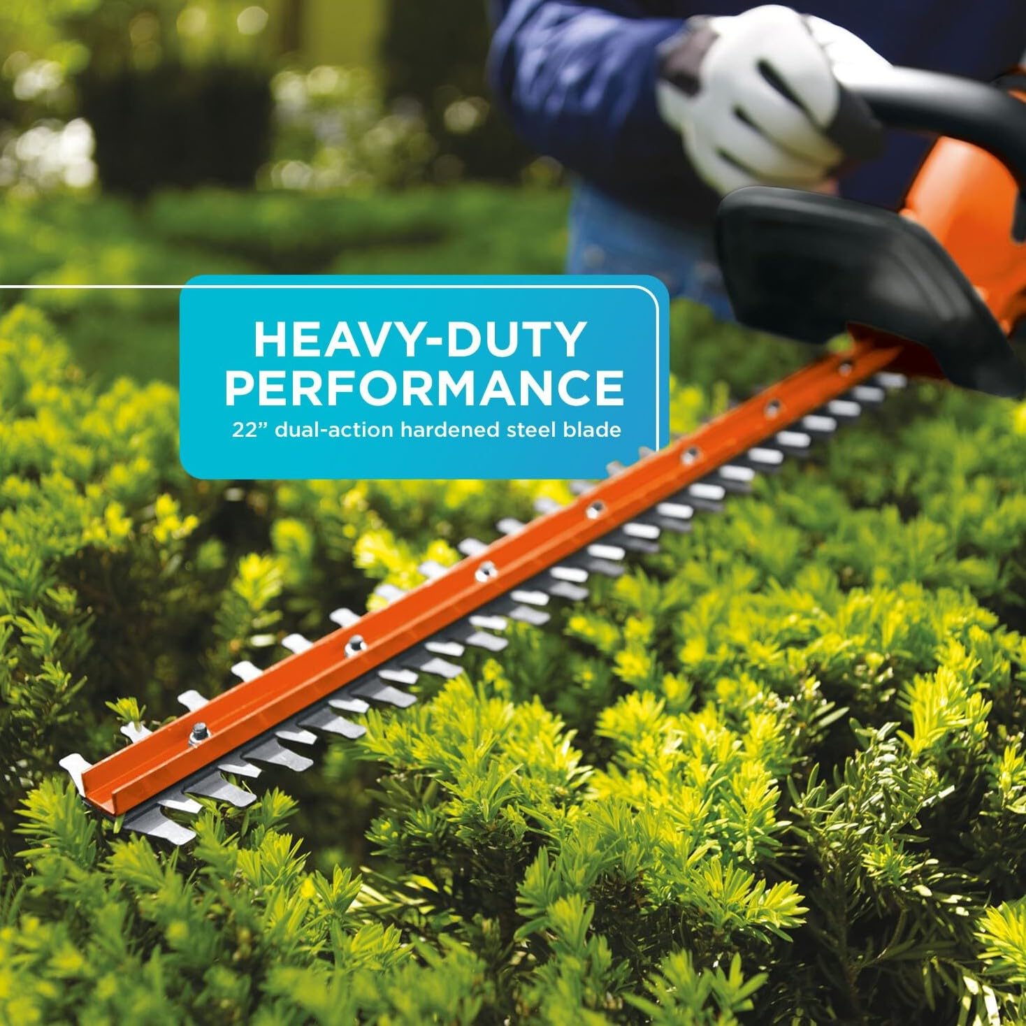BLACK+DECKER hedge trimmer in use vertically demonstrating reach and ergonomic balance