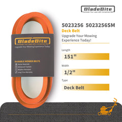 BladeBite close-up of belt profile showing exact width and thickness for reliable fit