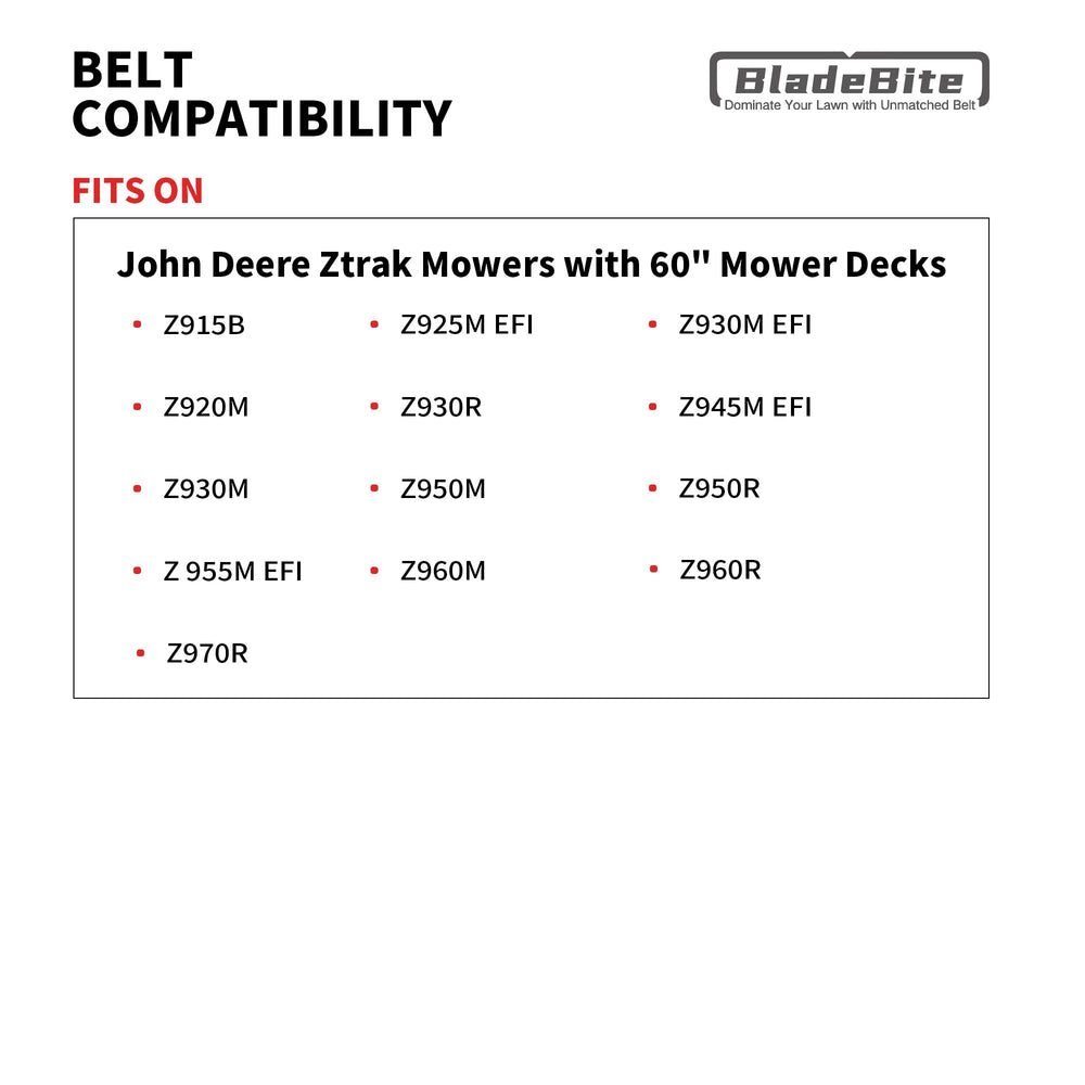 BladeBite belt laid with ruler showing 5/8" by 182.5" sizing accuracy