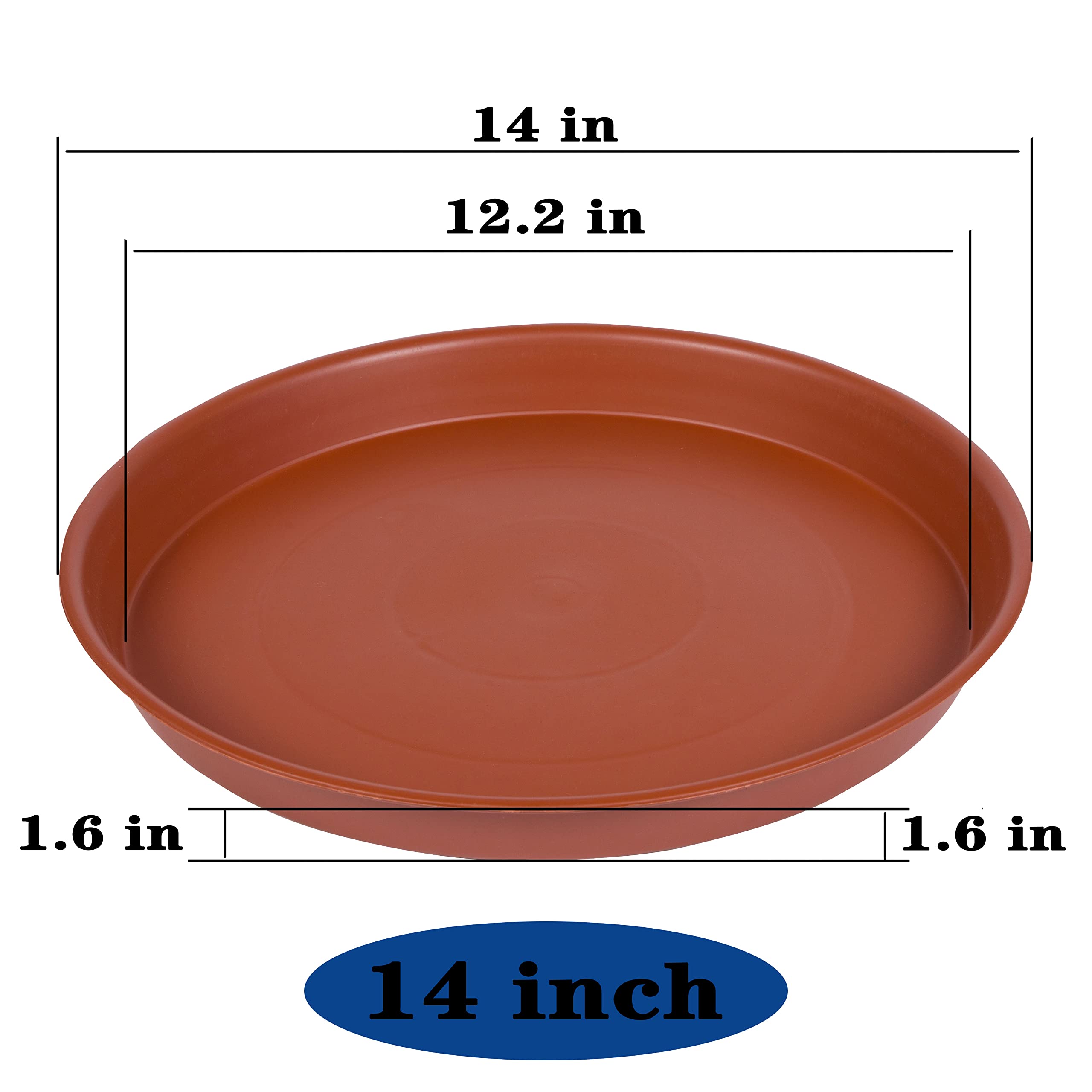 Bleuhome side profile showing 1.6 inch depth and sturdy rim benefits