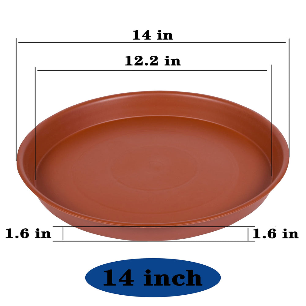 Bleuhome side profile showing 1.6 inch depth and sturdy rim benefits