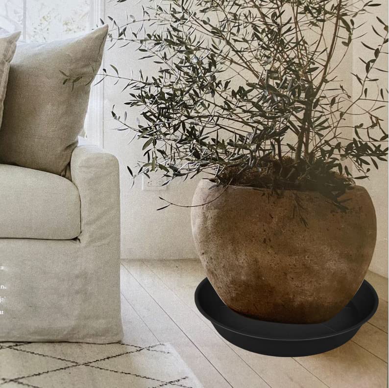 Bleuhome next to ruler demonstrating 26-inch diameter and scale
