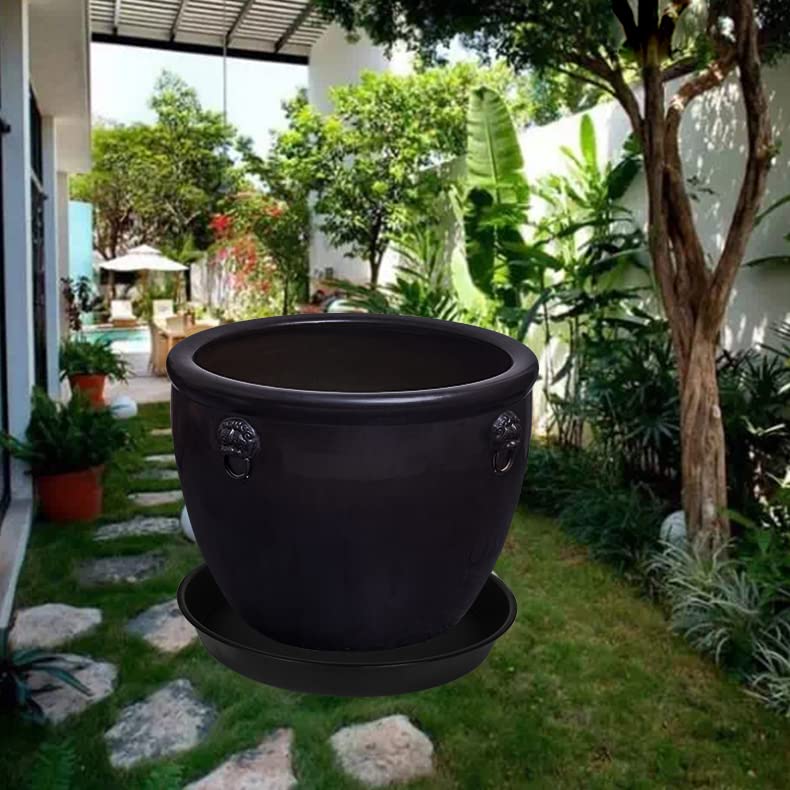 Bleuhome ambiente interior con planta que evita manchas en muebles
