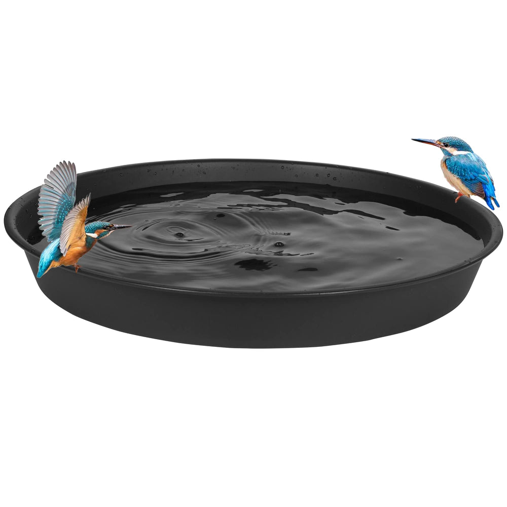 Bleuhome bowl with small bird bathing shows easy access and bird-friendly design benefit