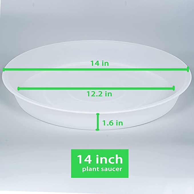 Bleuhome close-up showing matte exterior and glossy inner surface for easy cleaning