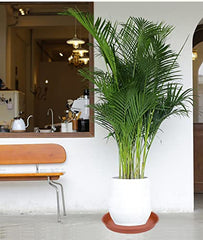 Bleuhome detalle del borde mate muestra acabado duradero
