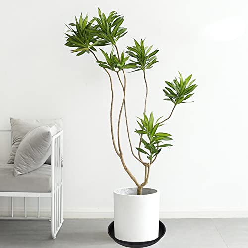 Bleuhome bird bath bowls in garden setting illustrating natural attraction and decoration benefit