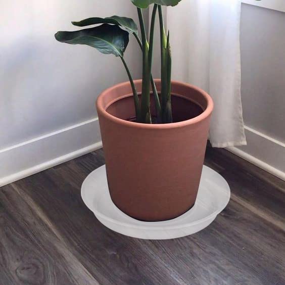 Bleuhome saucer used as bird bath outdoors adding wildlife attraction