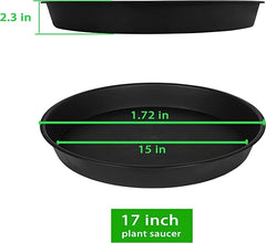 Bleuhome used under a large potted plant demonstrates water catch and floor protection benefit