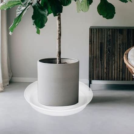 Bleuhome saucer under large pot on wood floor protecting surface