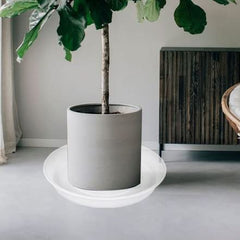 Bleuhome saucer under large pot on wood floor protecting surface