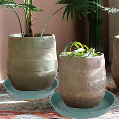 Bleuhome saucer with planter in place protecting floor and preventing water stains