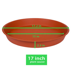 Bleuhome saucer under planted pot preventing spills on hardwood