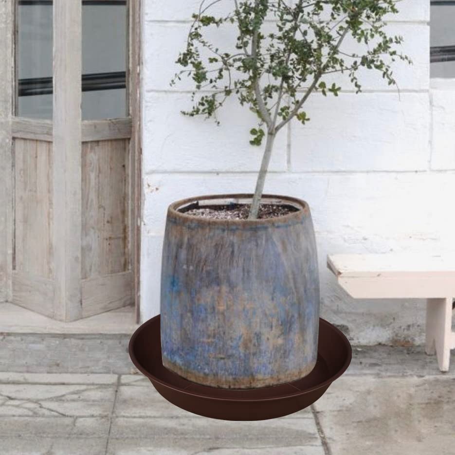 Bleuhome saucer on patio with plants showing tidy outdoor setup benefit