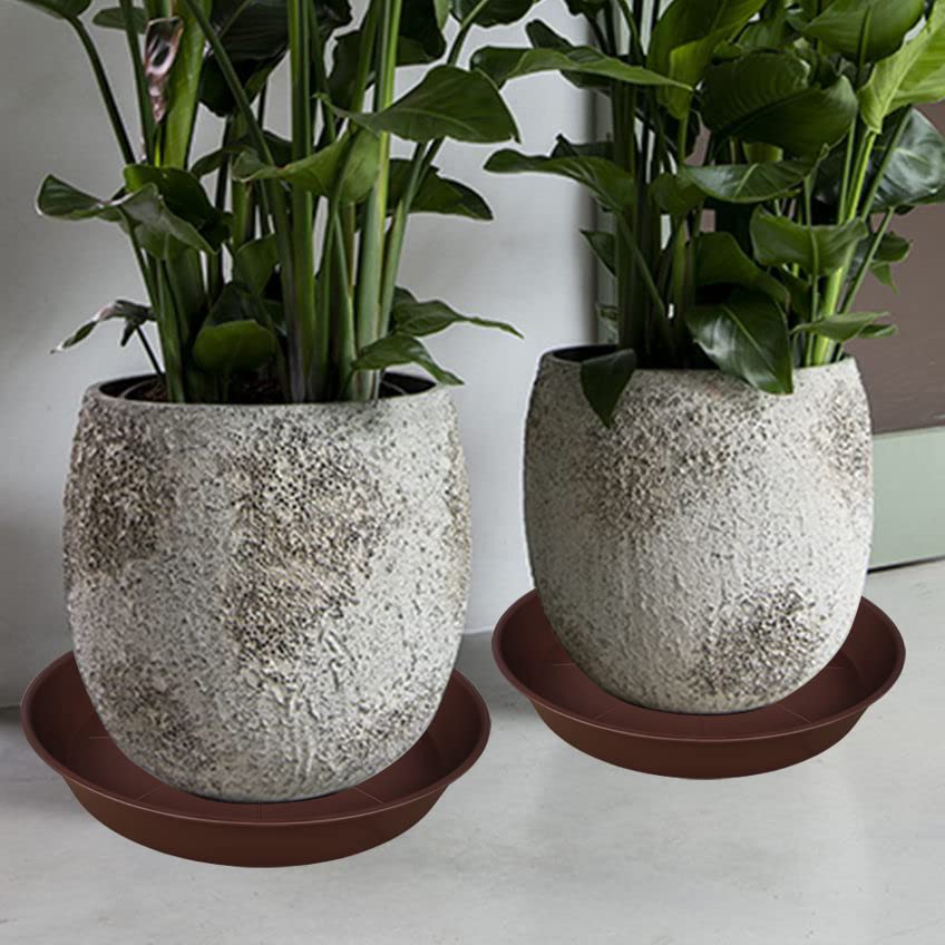 Bleuhome saucer next to ruler showing scale for planter fit benefit