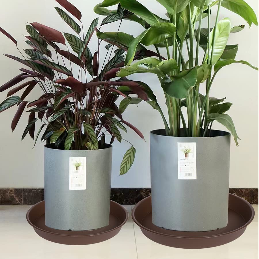 Bleuhome saucer under pot demonstrating drainage capture and cleanliness