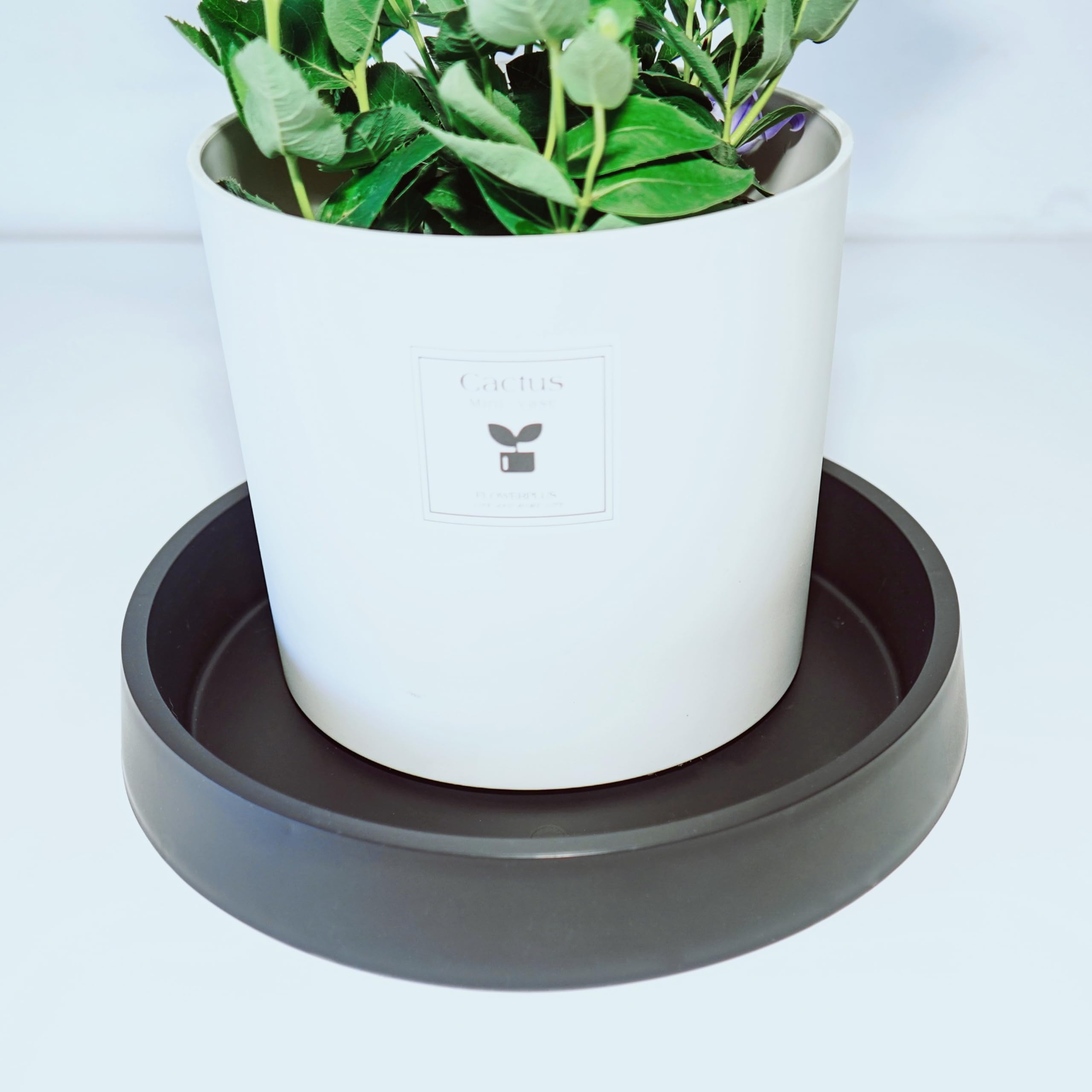 Bleuhome saucer supporting a ceramic pot and protecting indoor furniture from drips