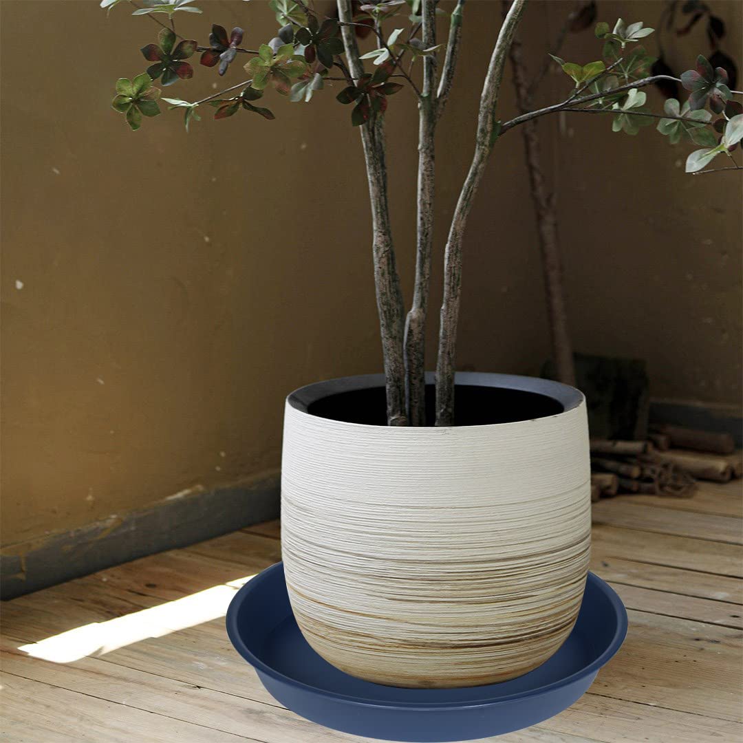 Bleuhome side profile showing saucer depth and sturdy rim for protection