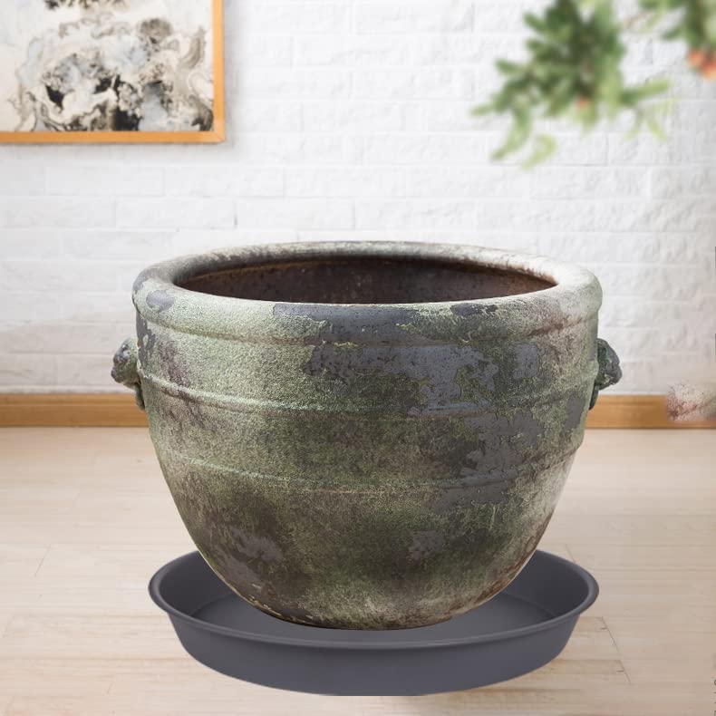 Bleuhome saucer beside ruler showing scale and fit for planter bases