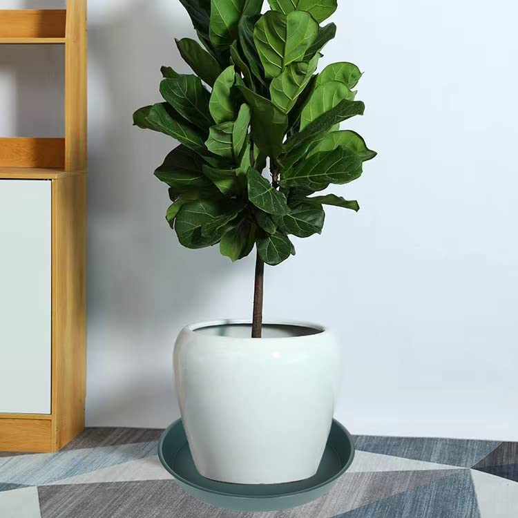 Bleuhome side profile highlighting 2.3 inch depth and sturdy rim for water retention