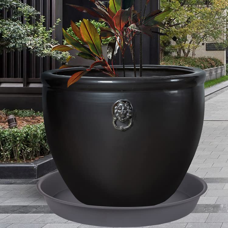 Bleuhome side profile showing 1.6 inch depth and sturdy rim