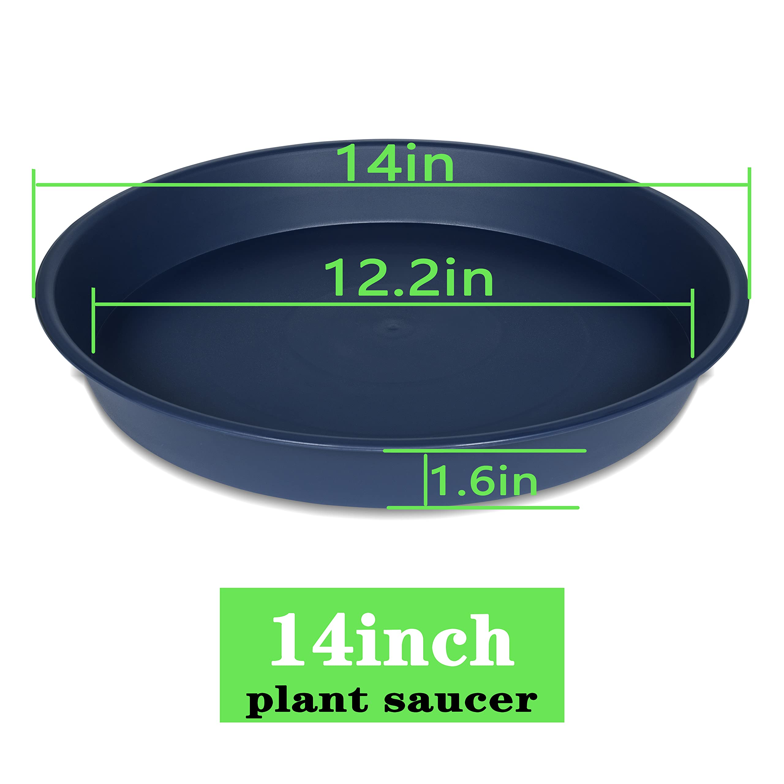 Bleuhome side profile showing 1.6-inch height and sturdy rim for stability