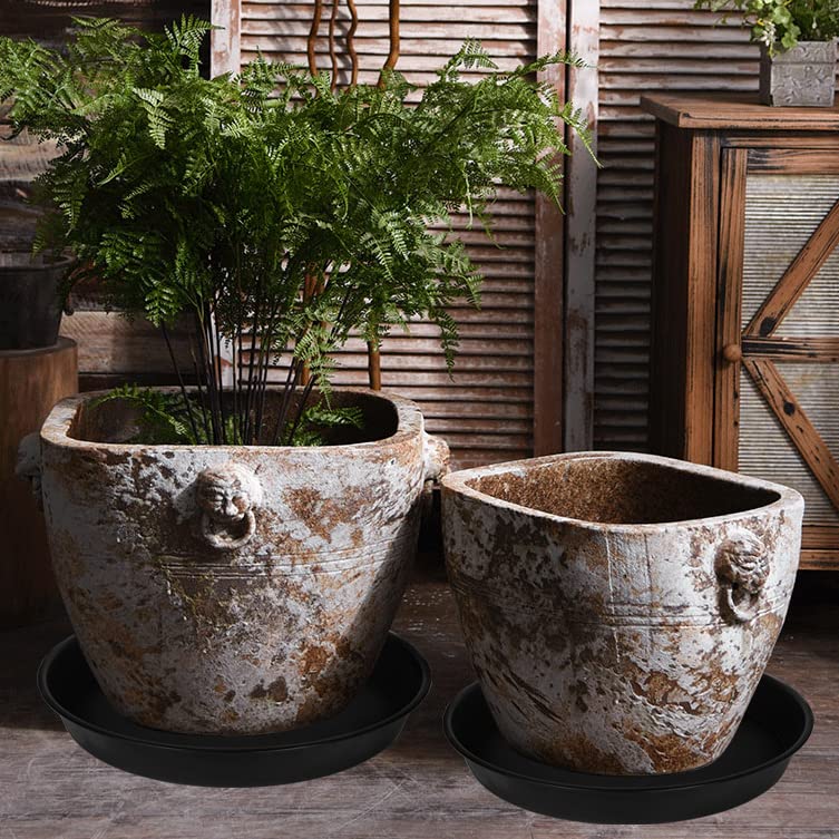 Bleuhome bowl next to potted plant showing scale and large capacity benefit