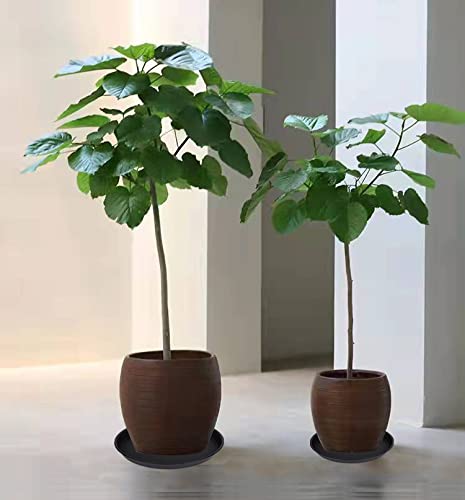 Bleuhome bowl beside ruler shows 17-inch scale for placement planning benefit