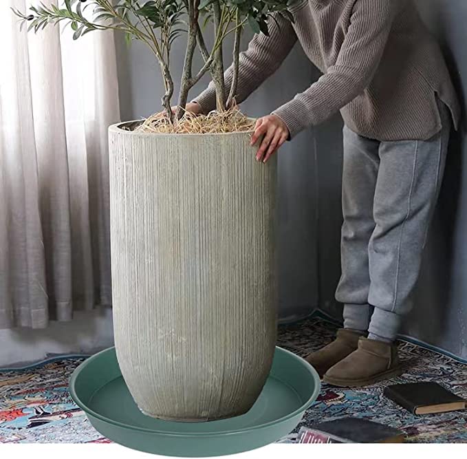Bleuhome two saucers stacked for compact storage and easy transport