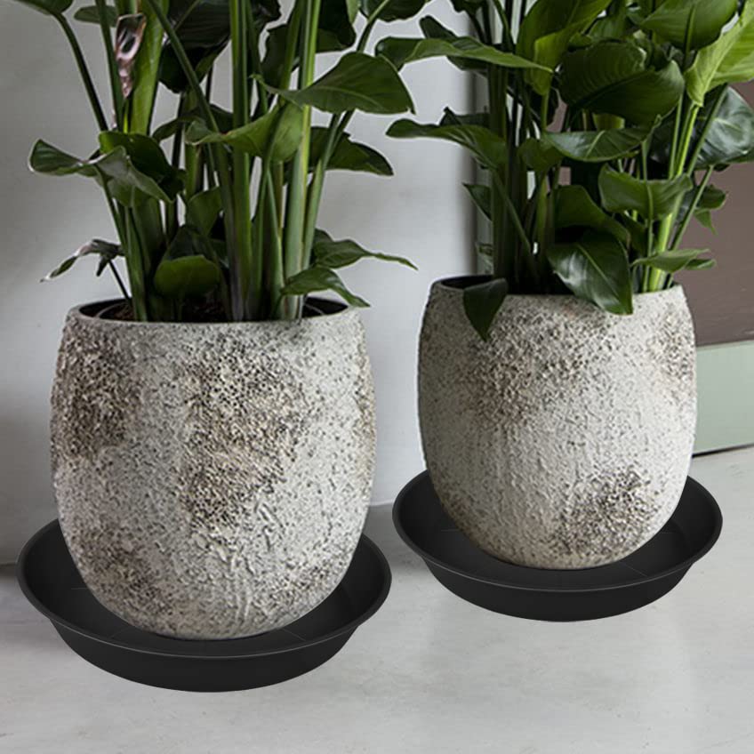 Bleuhome three saucers stacked for storage showing space-saving convenience